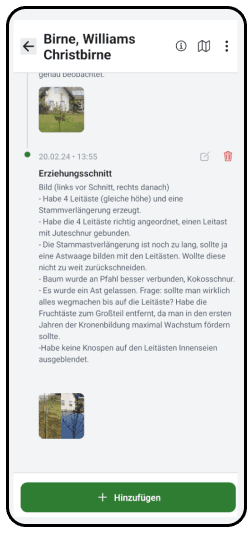 baumwartApp.de auf dem Smartphone mit Pflege-Tagebuch eines Baums