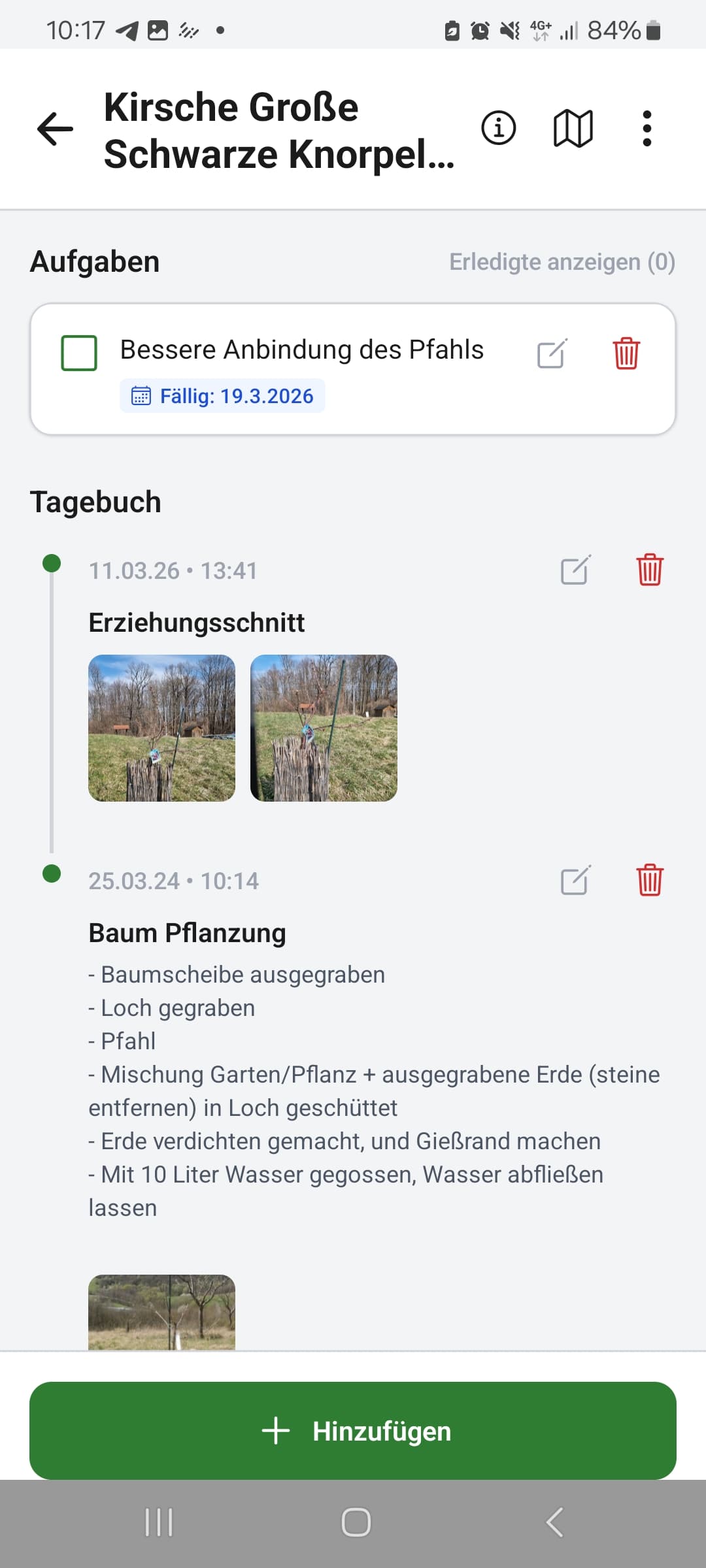 Mobile App Baum Detail